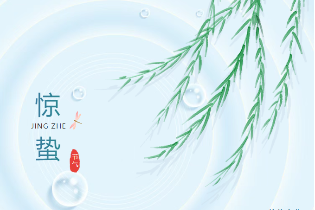 驚蟄丨萬物復(fù)蘇，不負(fù)春光